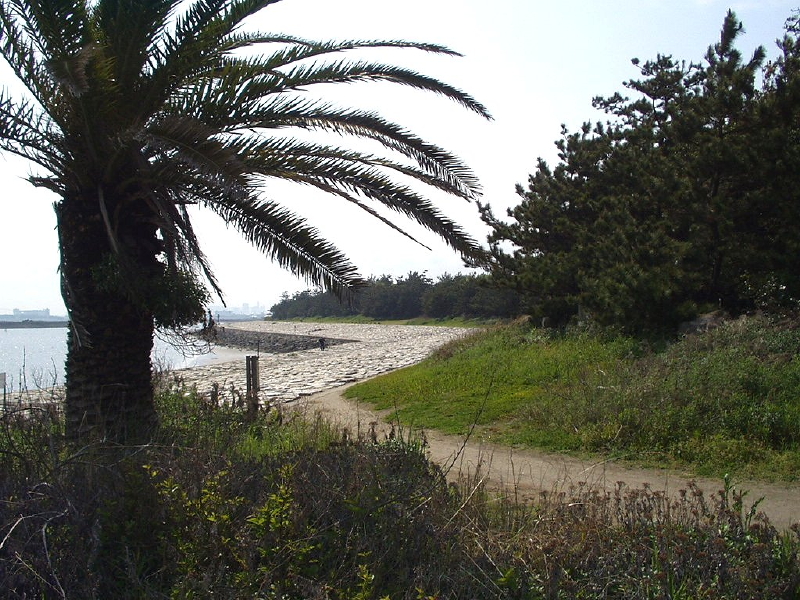 img0096.jpg
