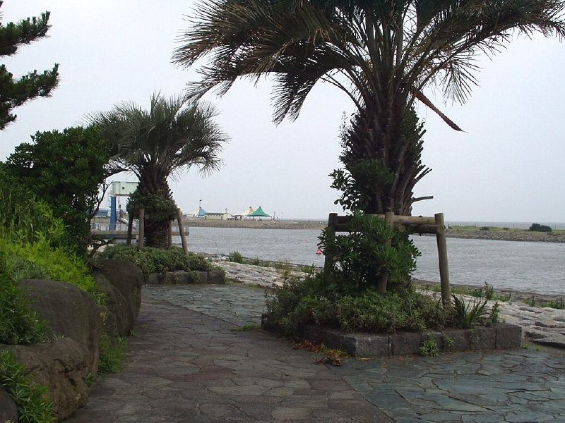img0098.jpg