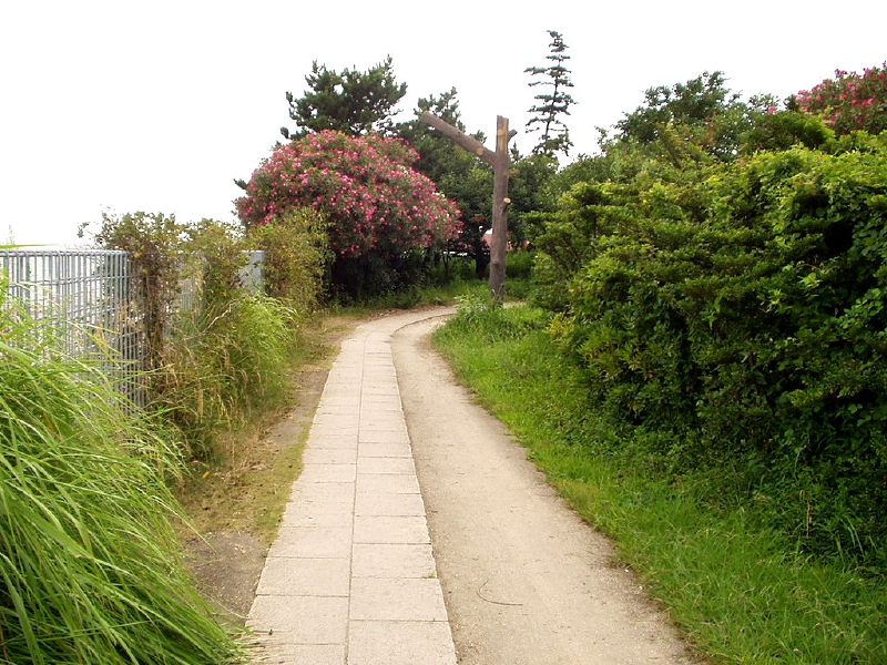 img0104.jpg