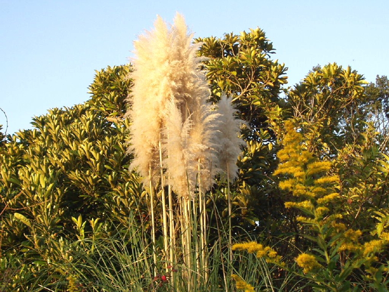 img0111.jpg