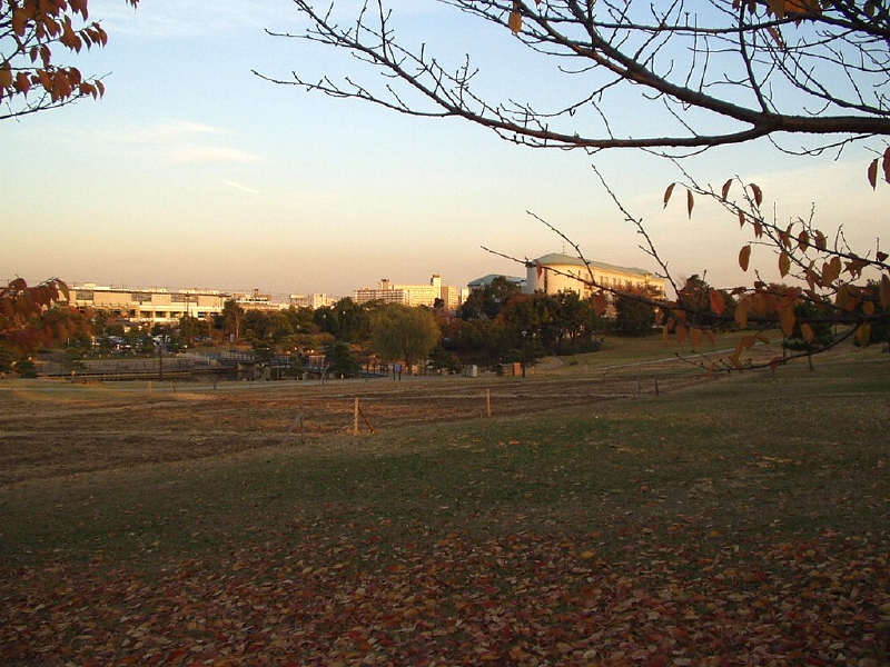 img0114.jpg