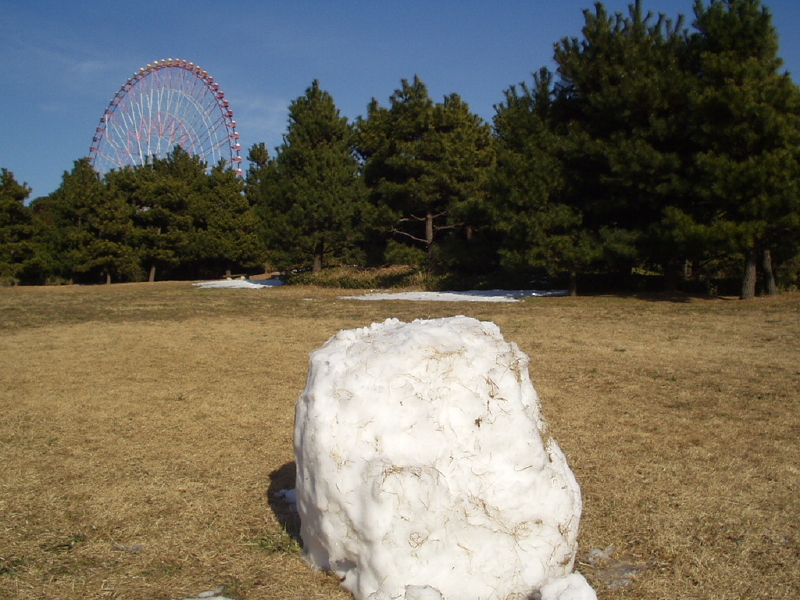 img0116.jpg