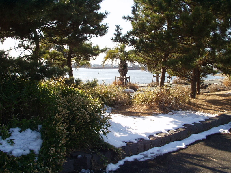 img0117.jpg