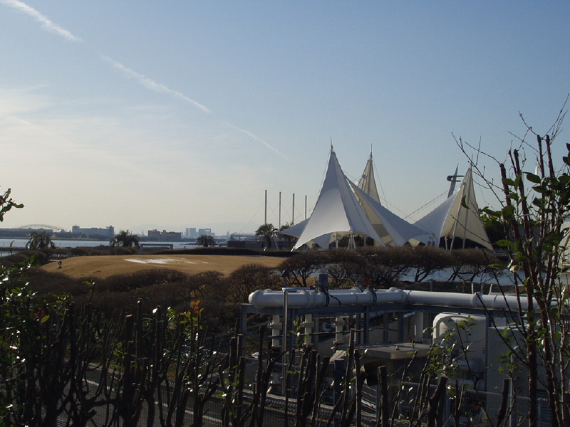 img0119.jpg