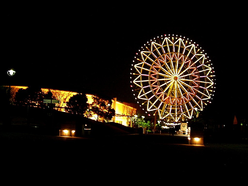 img0124.jpg