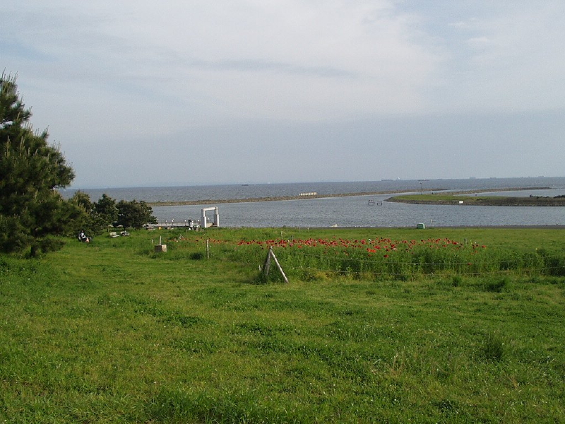 img0128.jpg