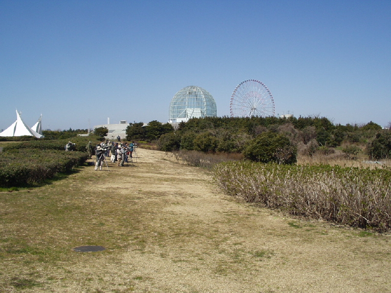 img0131.jpg
