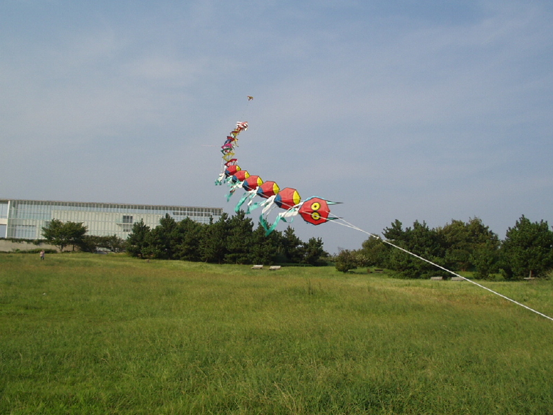 img0132.jpg