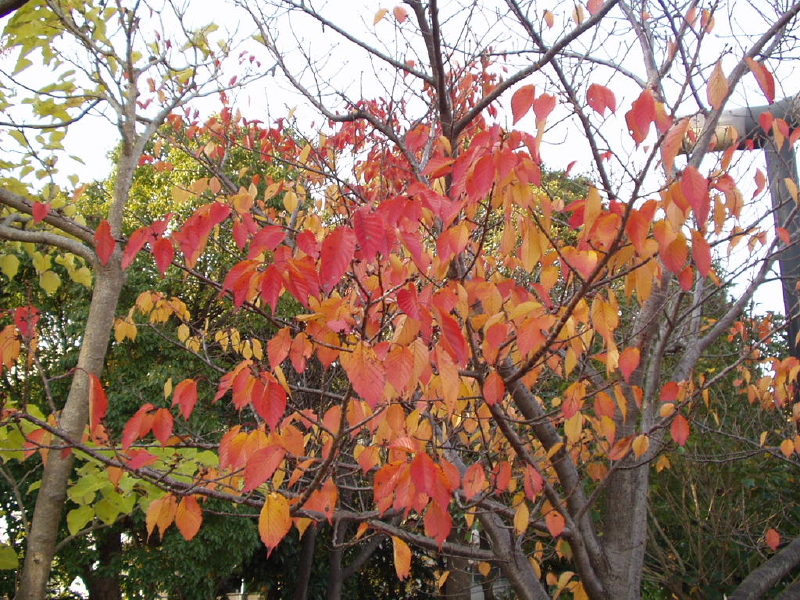 img0136.jpg