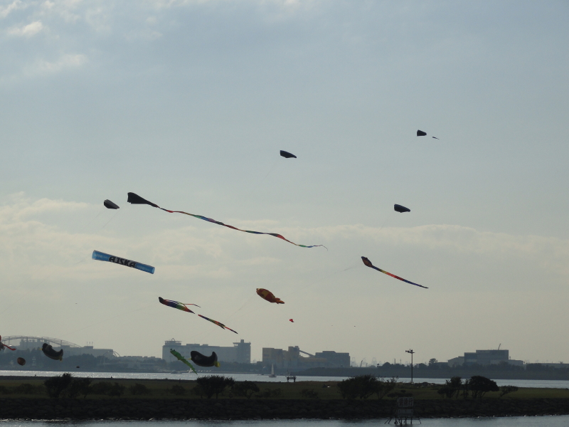 img0153.jpg