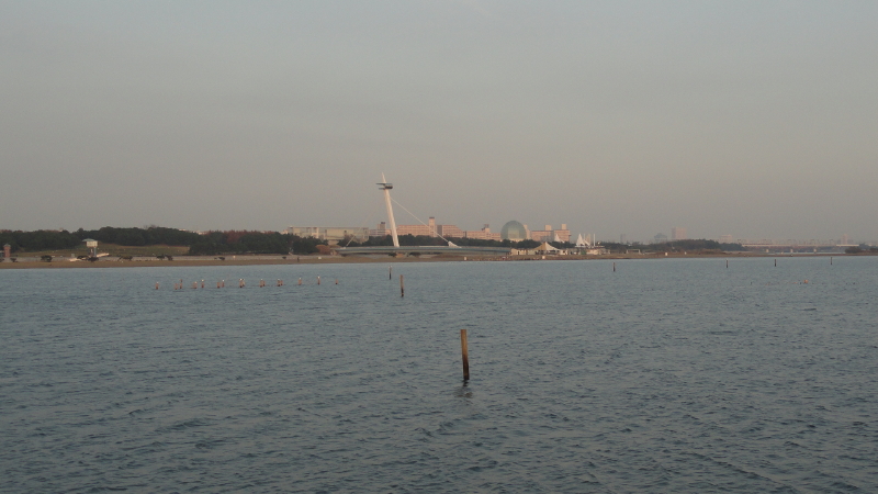 img0167.jpg