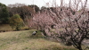 img0004.jpg