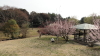 img0005.jpg
