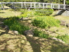 img0015.jpg