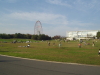 img0020.jpg