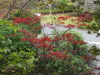 img0027.jpg