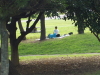 img0029.jpg