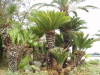 img0030.jpg