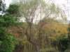 img0031.jpg