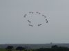 img0034.jpg