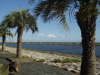 img0036.jpg