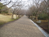 img0040.jpg