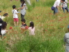 img0043.jpg