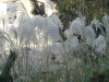 img0047.jpg
