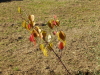 img0049.jpg
