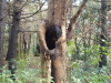 img0050.jpg