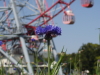 img0053.jpg