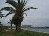 img0054.jpg