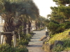 img0059.jpg