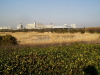 img0081.jpg