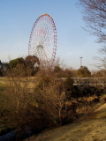 img0084.jpg