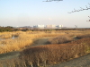 img0087.jpg