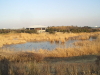 img0088.jpg