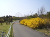 img0093.jpg