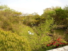 img0095.jpg