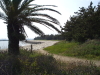 img0096.jpg