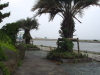img0098.jpg