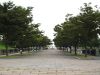 img0101.jpg