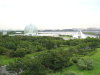 img0102.jpg