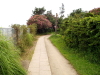 img0104.jpg