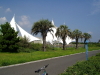 img0105.jpg