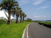 img0106.jpg