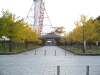 img0108.jpg