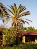img0112.jpg