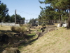 img0130.jpg