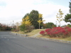 img0134.jpg
